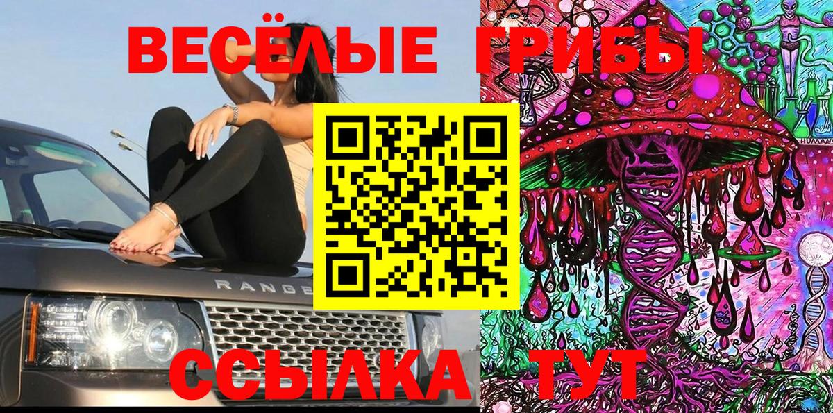 Апрелевка  Галлюциногенные грибы мицелий  Вход с VPN  Псилоцибиновые грибы Psilocybe 